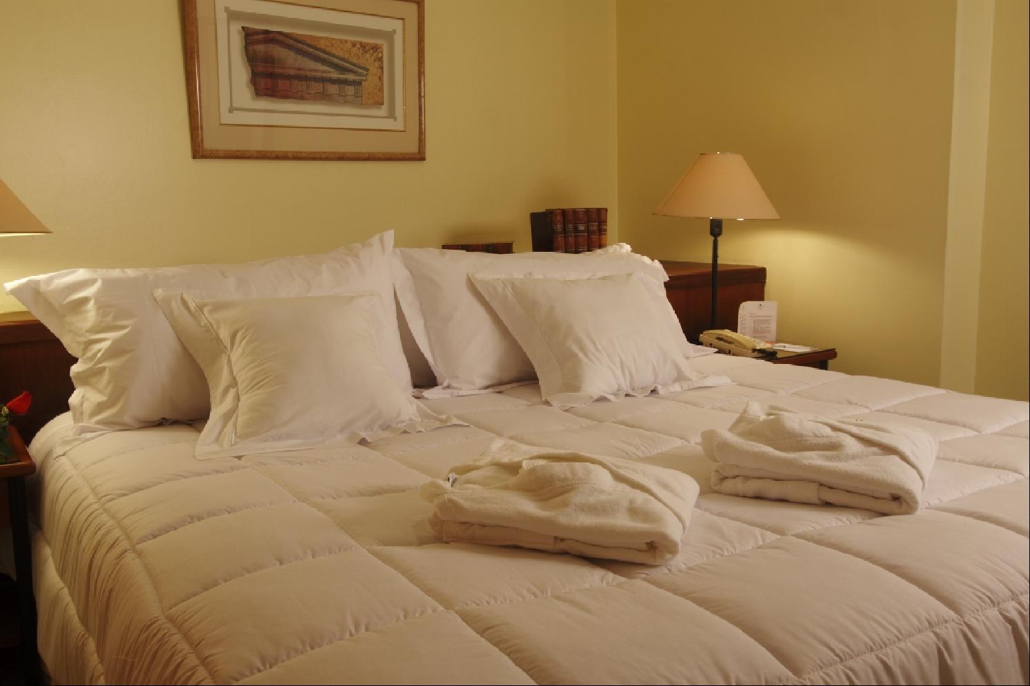 Radisson Plaza Del Bosque